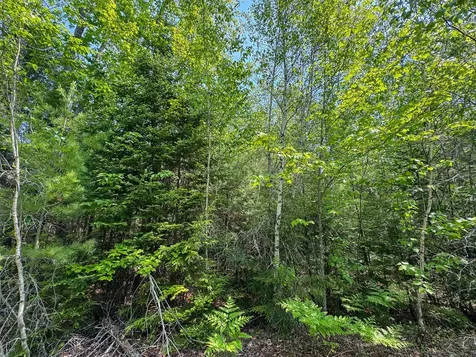 M1 L2 Off Bunker Hill Road Maxfield ME 04448