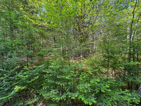 M1 L2 Off Bunker Hill Road Maxfield ME 04448