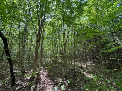 M1 L2 Off Bunker Hill Road Maxfield ME 04448