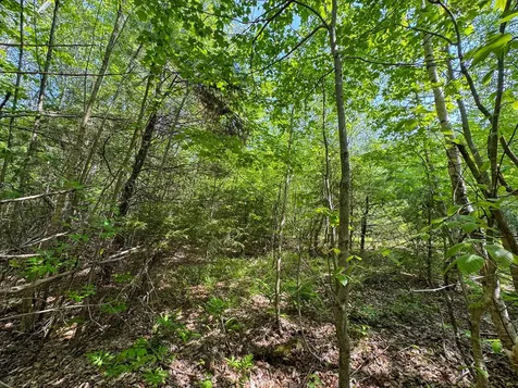M1 L2 Off Bunker Hill Road Maxfield ME 04448