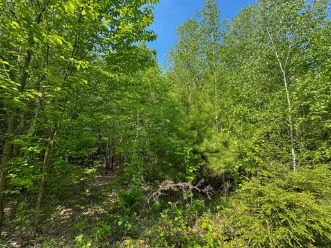 M1 L2 Off Bunker Hill Road Maxfield ME 04448