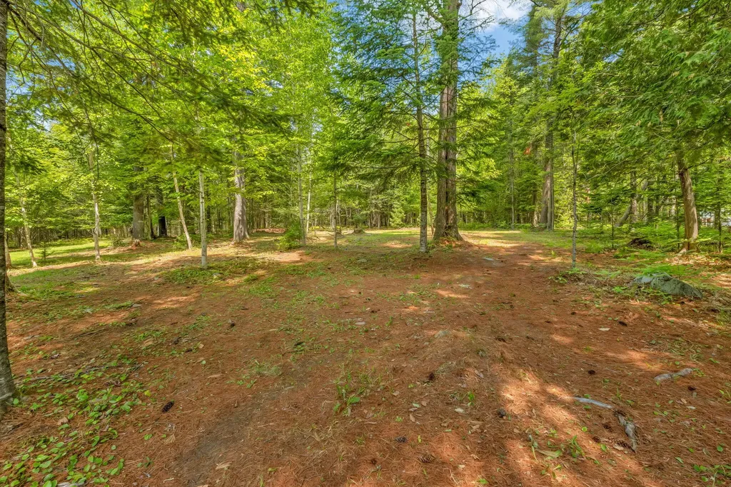 84 Mcintosh Avenue Levant ME 04456