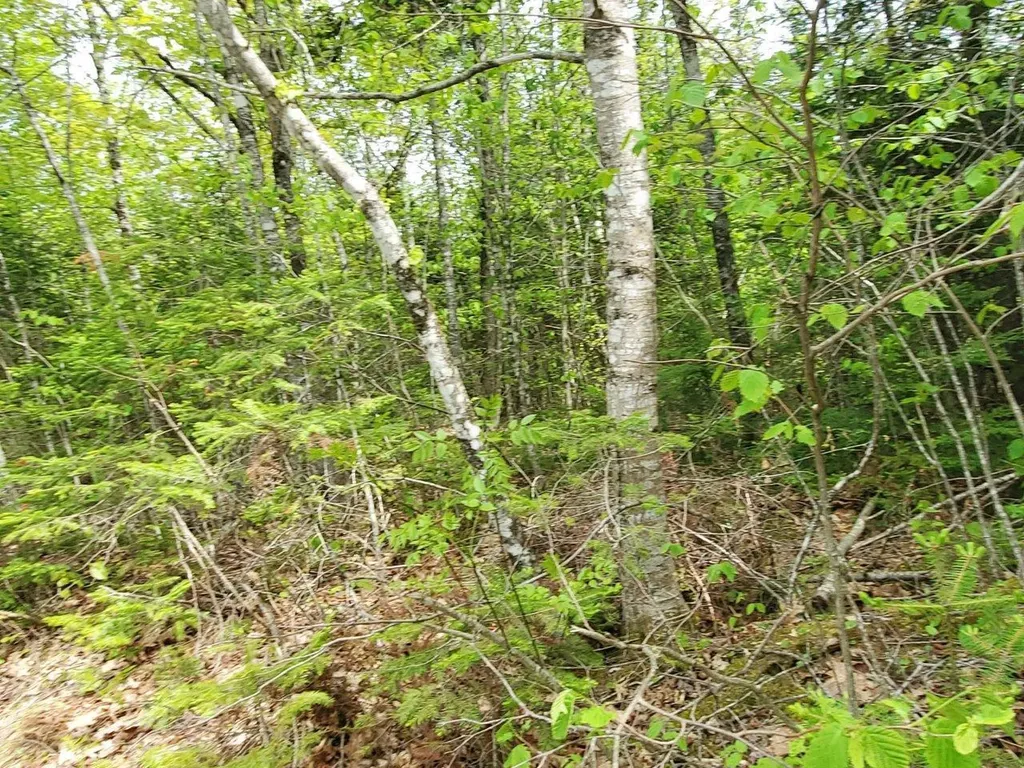 Lot 7 Pleasent Pond Road Atkinson ME 04426