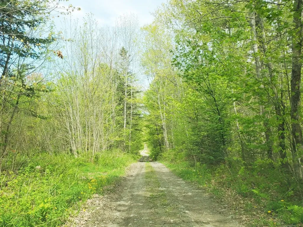 Lot 7 Pleasent Pond Road Atkinson ME 04426