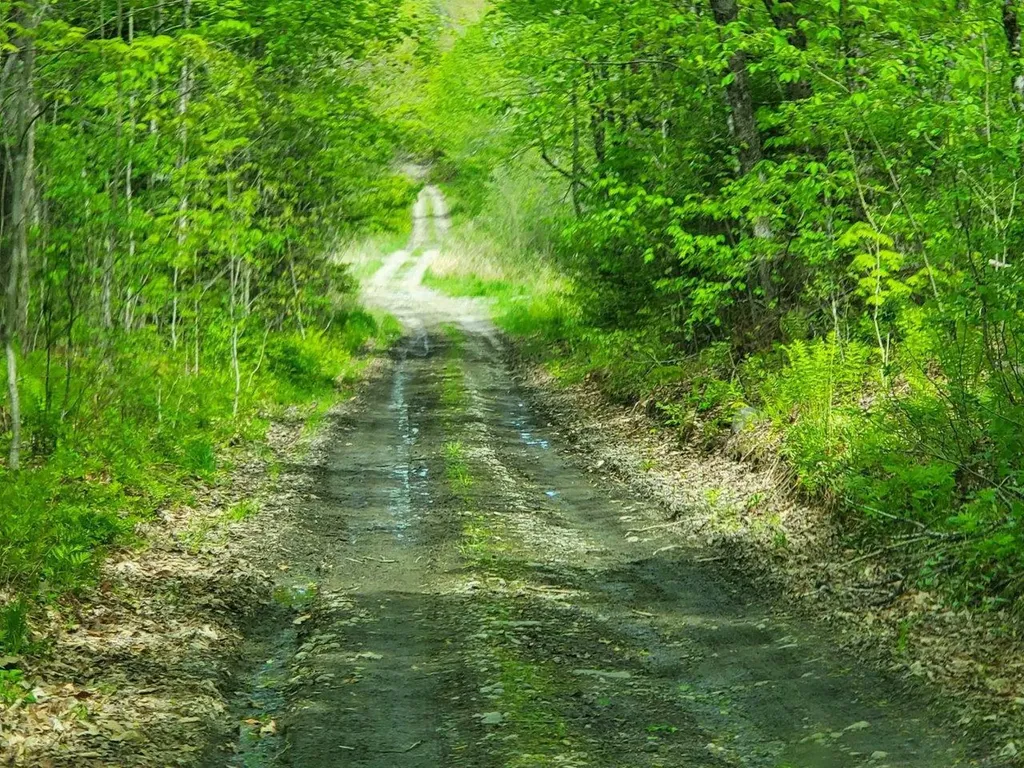 Lot 7 Pleasent Pond Road Atkinson ME 04426