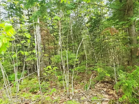 Lot 7 Pleasent Pond Road Atkinson ME 04426