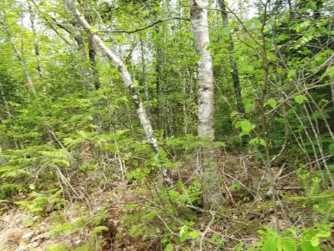 Lot 7 Pleasent Pond Road Atkinson ME 04426
