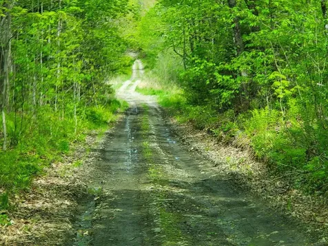 Lot 7 Pleasent Pond Road Atkinson ME 04426