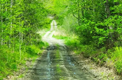 Lot 7 Pleasent Pond Road Atkinson ME 04426