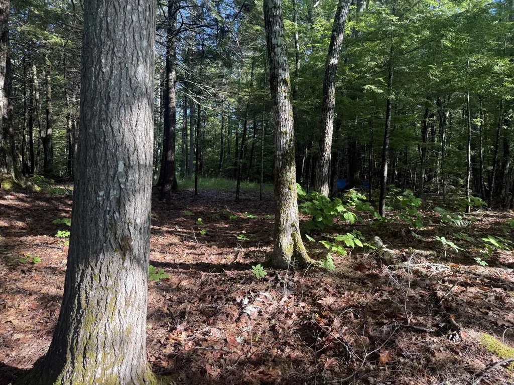 1.311 Route 116 Route Mattamiscontis Twp ME 04457