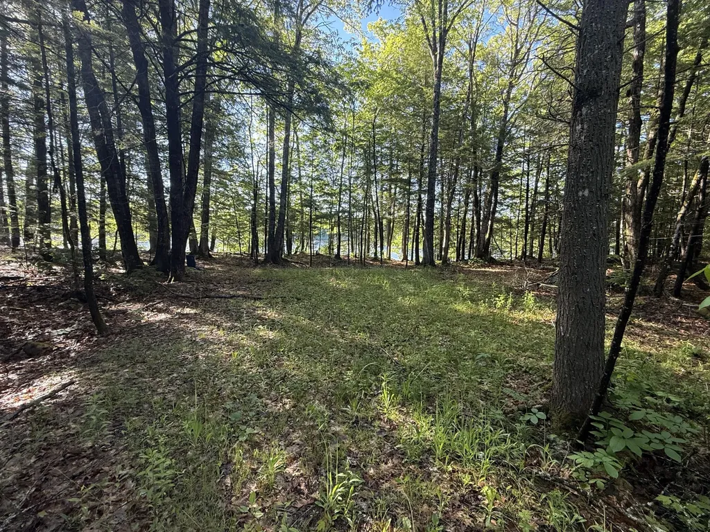 1.311 Route 116 Route Mattamiscontis Twp ME 04457