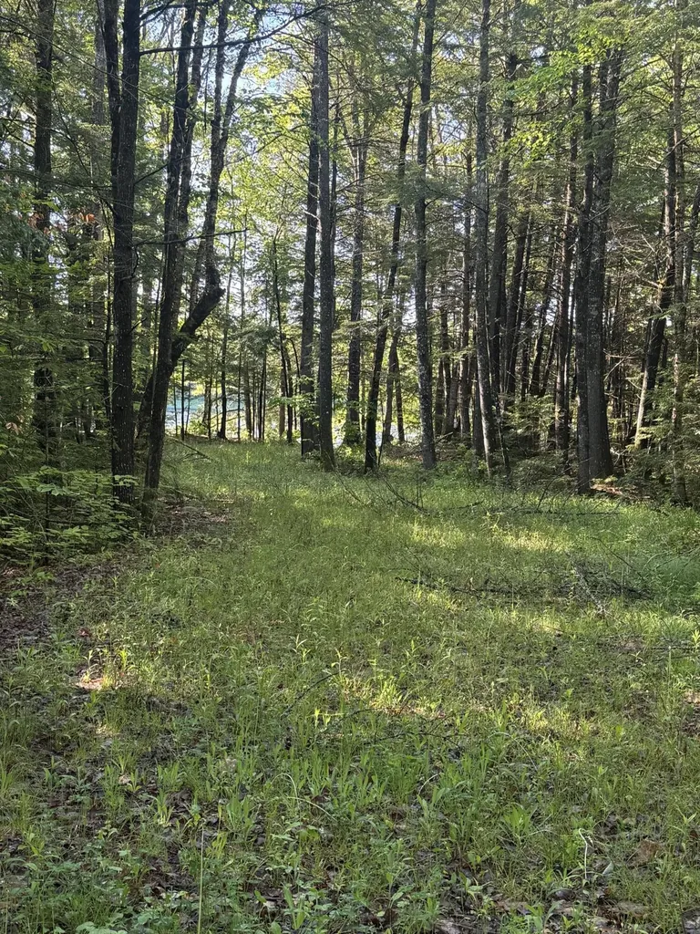 1.311 Route 116 Route Mattamiscontis Twp ME 04457
