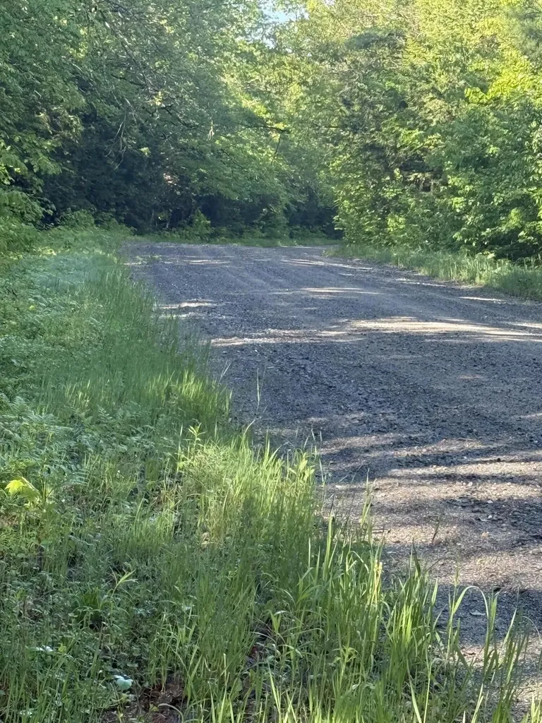 1.311 Route 116 Route Mattamiscontis Twp ME 04457