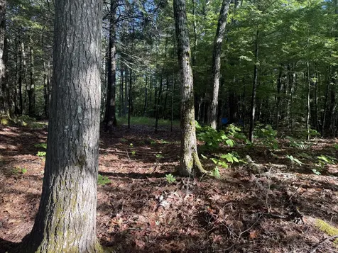 1.311 Route 116 Route Mattamiscontis Twp ME 04457