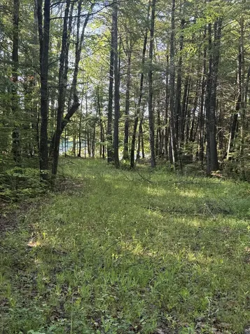 1.311 Route 116 Route Mattamiscontis Twp ME 04457
