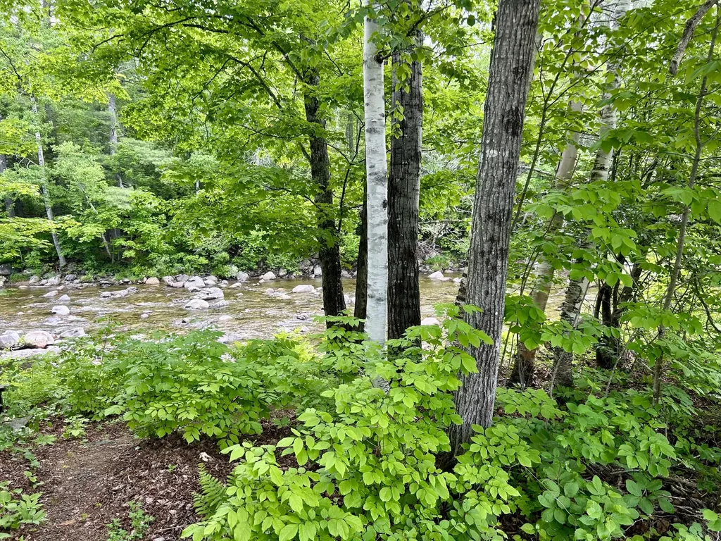 1023 Left Bank Carrabassett Valley ME 04947