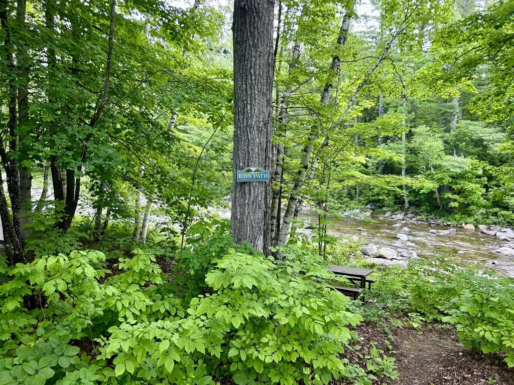1023 Left Bank Carrabassett Valley ME 04947