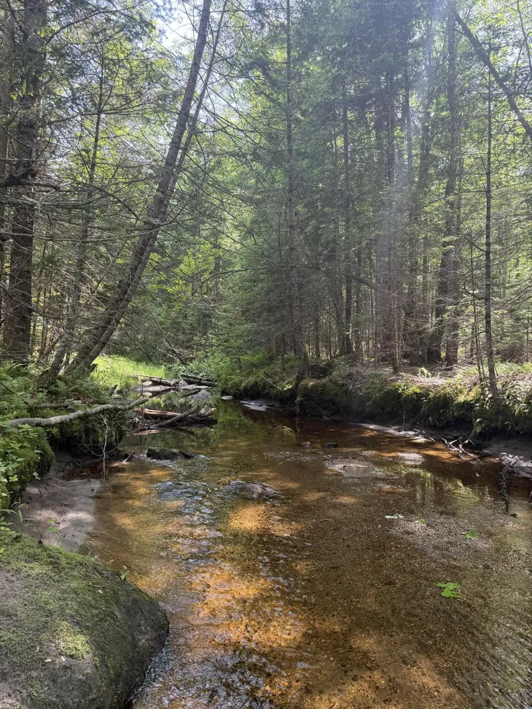 R13- 30.2 Buckfield Road Paris ME 04281