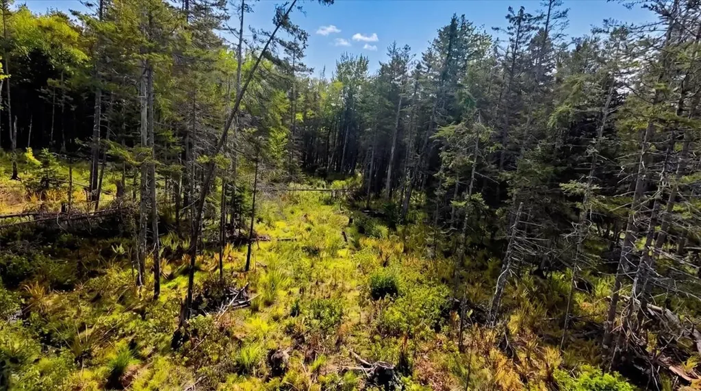 R13- 30.2 Buckfield Road Paris ME 04281