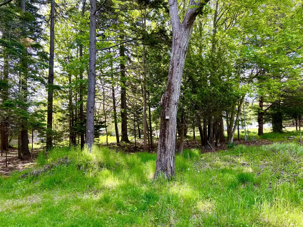 4 Long Pond Road Southwest Harbor ME 04679
