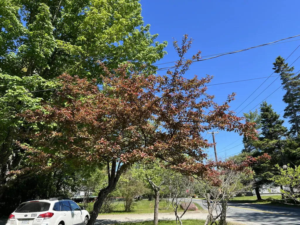 4 Long Pond Road Southwest Harbor ME 04679