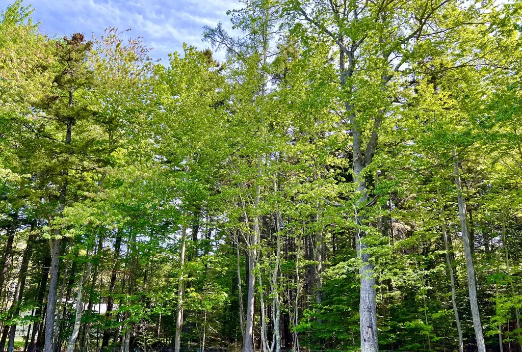4 Long Pond Road Southwest Harbor ME 04679