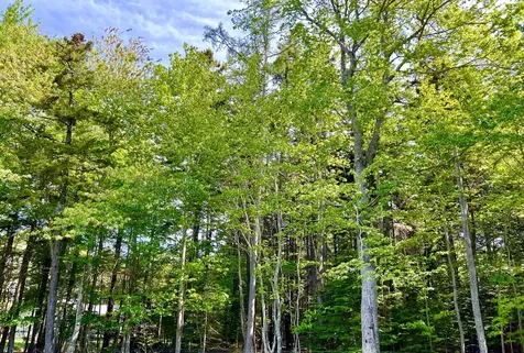 4 Long Pond Road Southwest Harbor ME 04679