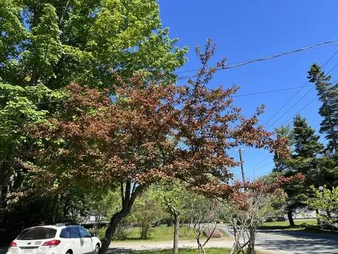 4 Long Pond Road Southwest Harbor ME 04679