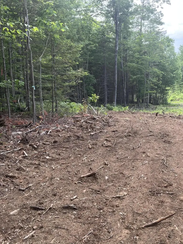 8-3 Turner Street Buckfield ME 04220