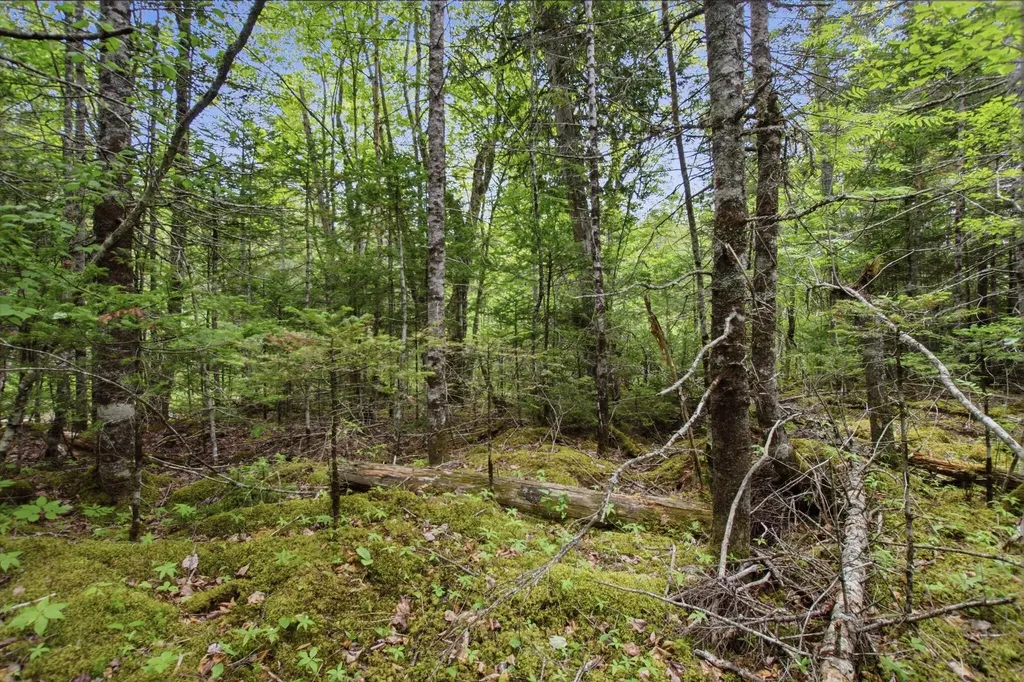 00 Kennebec Road Machiasport ME 04655