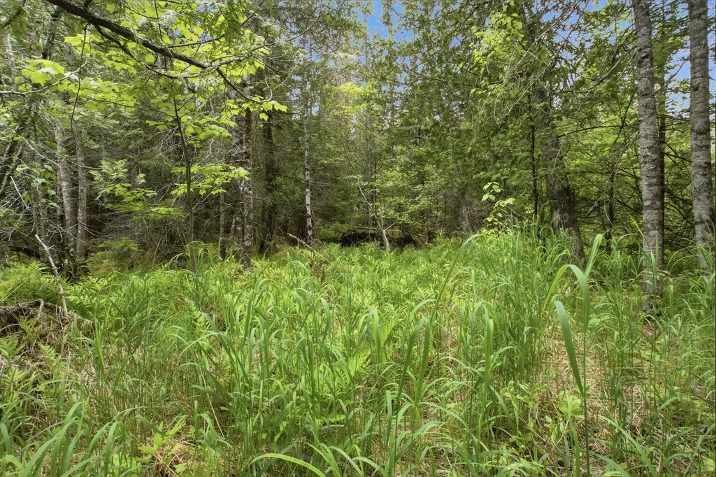 00 Kennebec Road Machiasport ME 04655