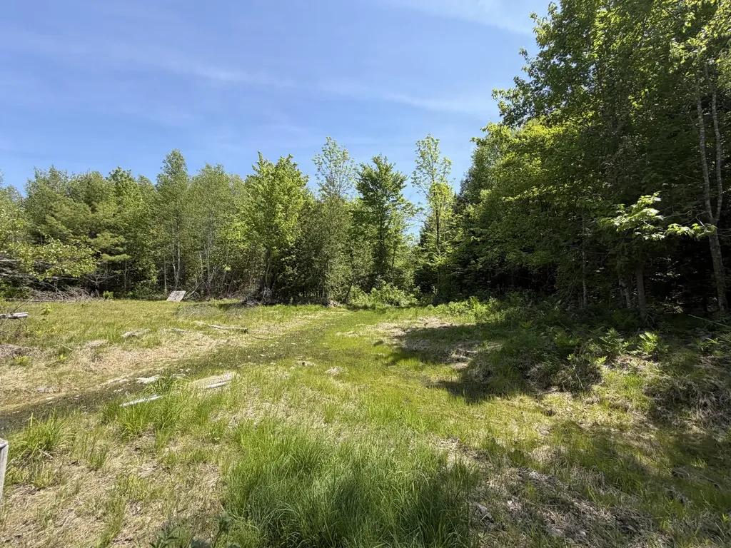 Lot 49 Independence Circle Prentiss Twp T7 R3 Nbpp ME 04487