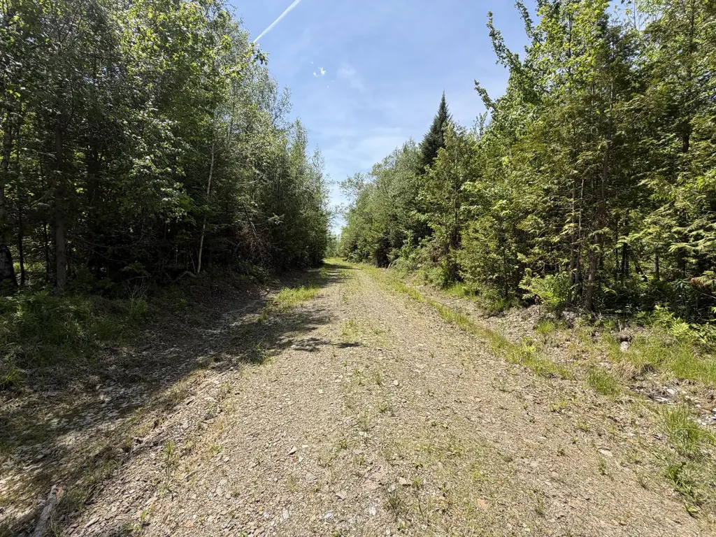 Lot 49 Independence Circle Prentiss Twp T7 R3 Nbpp ME 04487
