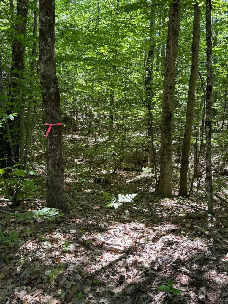 0009A Church Hill Road Leeds ME 04263