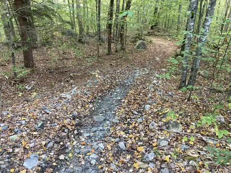 540 Whittemore Hill Road Skowhegan ME 04976