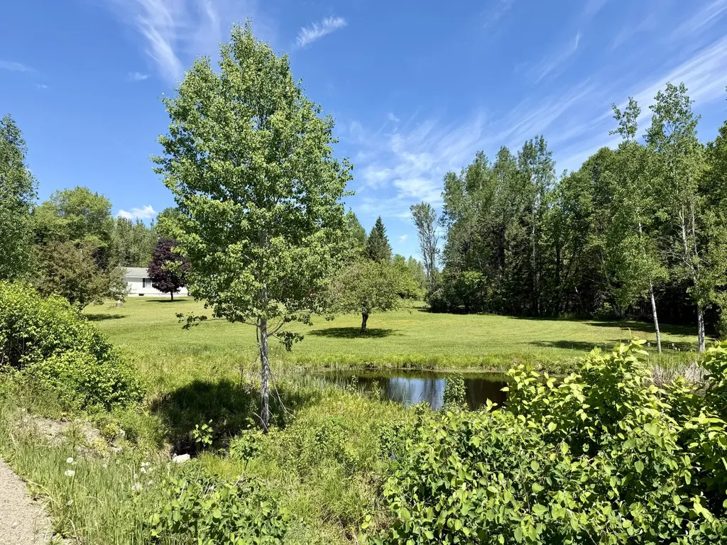 207 Bog Brook Road Crystal ME 04747