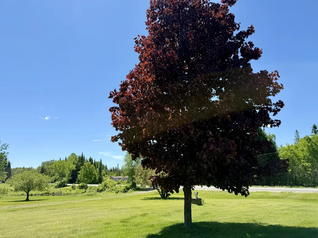 207 Bog Brook Road Crystal ME 04747