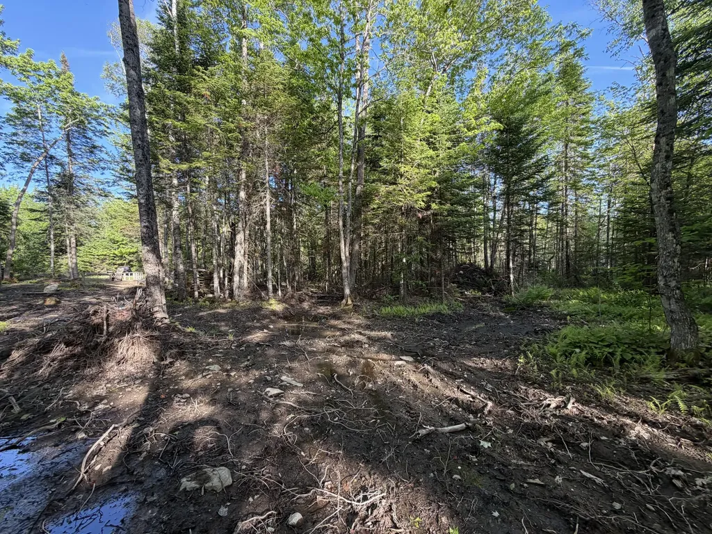 Lot 12-001 Off North Guilford Road Monson ME 04464