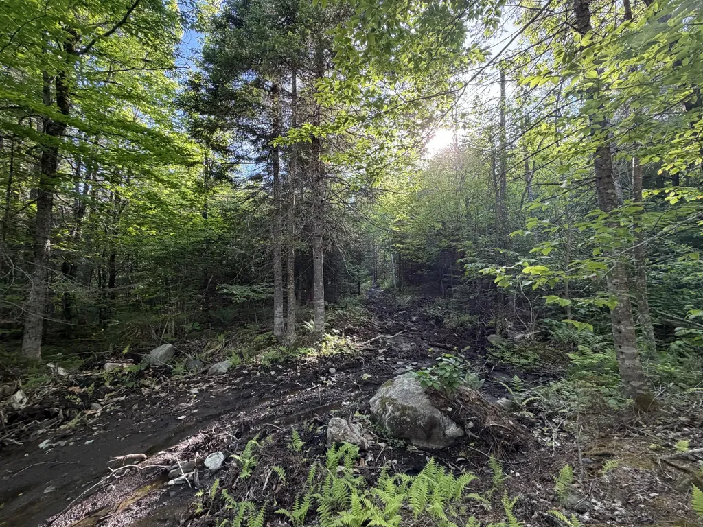 Lot 12-001 Off North Guilford Road Monson ME 04464