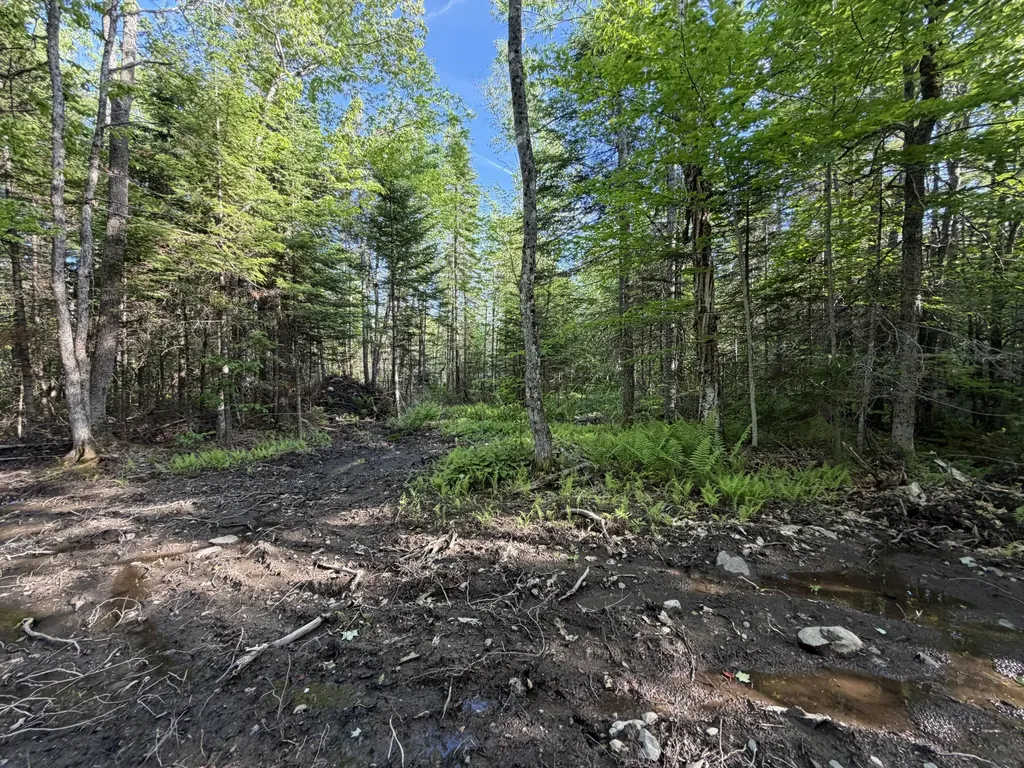 Lot 12-001 Off North Guilford Road Monson ME 04464