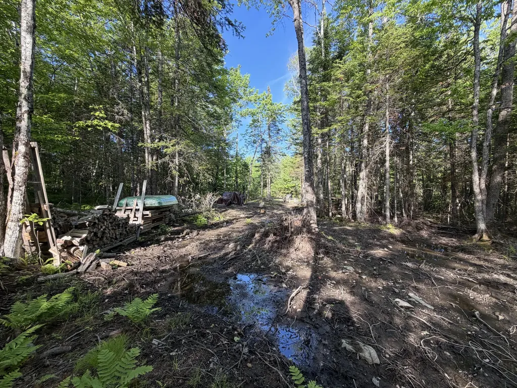 Lot 12-001 Off North Guilford Road Monson ME 04464