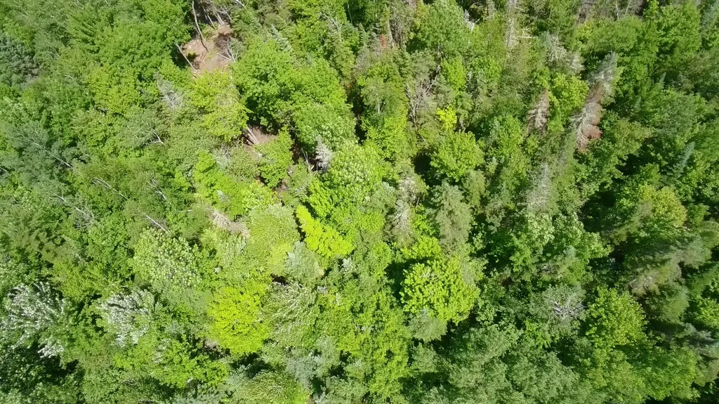 Lot 12-001 Off North Guilford Road Monson ME 04464