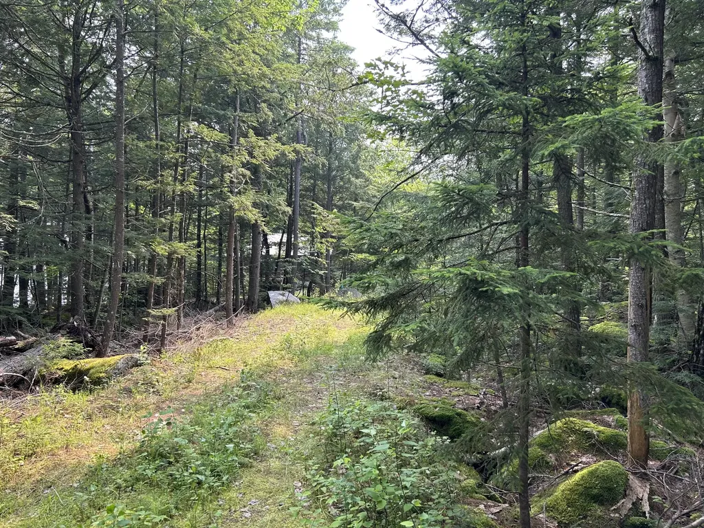 Lot 12-4 Mcnulty Lane Rome ME 04963