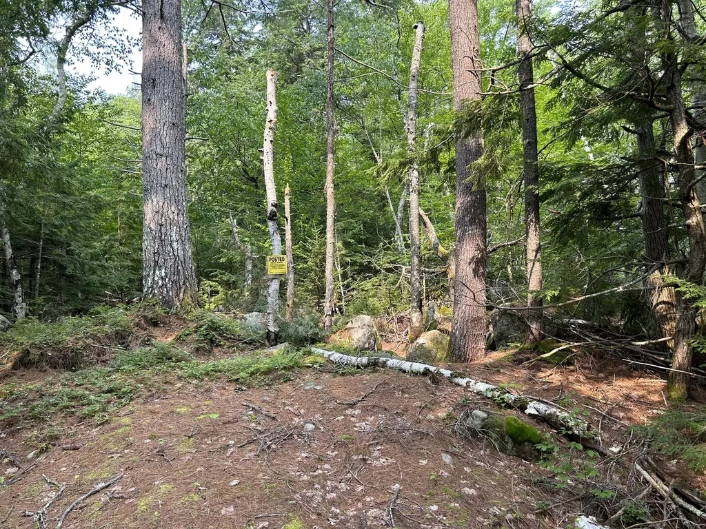 Lot 12-4 Mcnulty Lane Rome ME 04963
