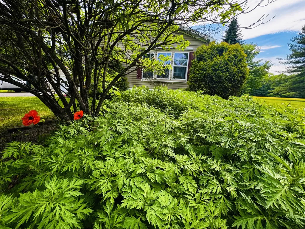 59 Karen Street Palmyra ME 04965