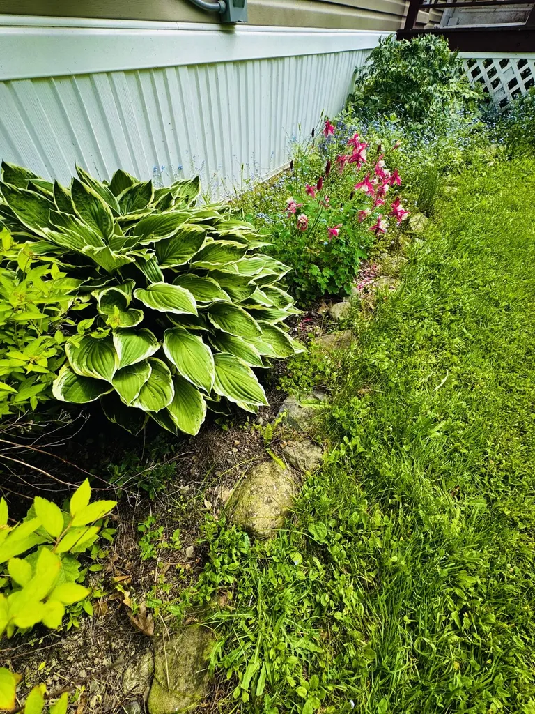 59 Karen Street Palmyra ME 04965