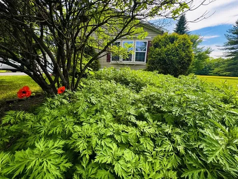 59 Karen Street Palmyra ME 04965