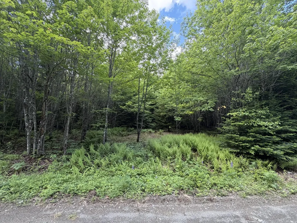 Lot 35 Mountain View Trail Greenville ME 04441