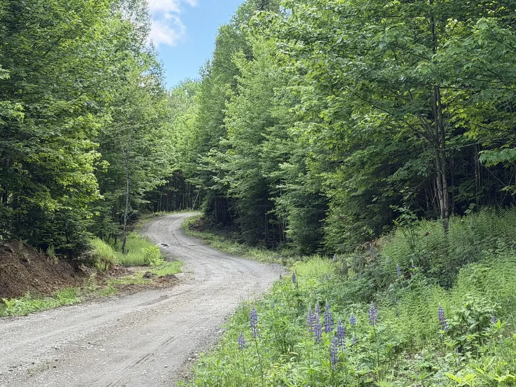 Lot 35 Mountain View Trail Greenville ME 04441