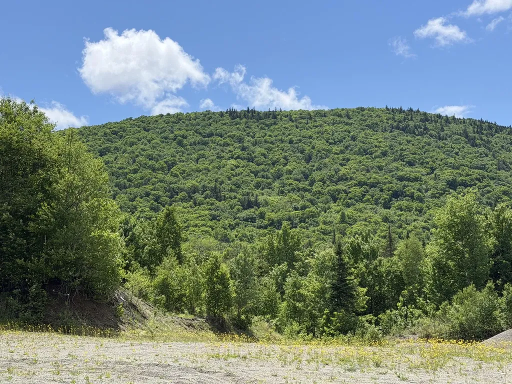 Lot 35 Mountain View Trail Greenville ME 04441